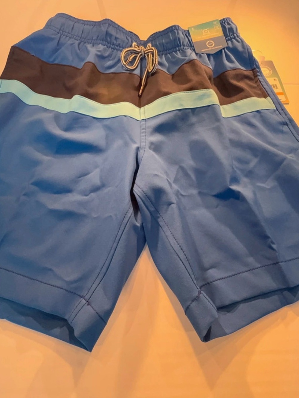 Speedo Men's Blue Colorblock Swim Trunks